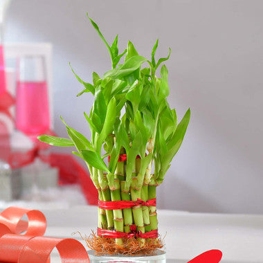 Valentine's Day Customised Good Luck Gift